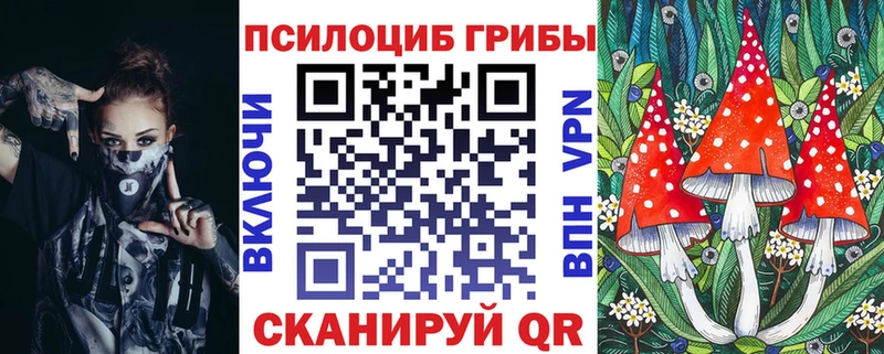Купить Сенгилей Галлюциногенные грибы MAGIC MUSHROOMS